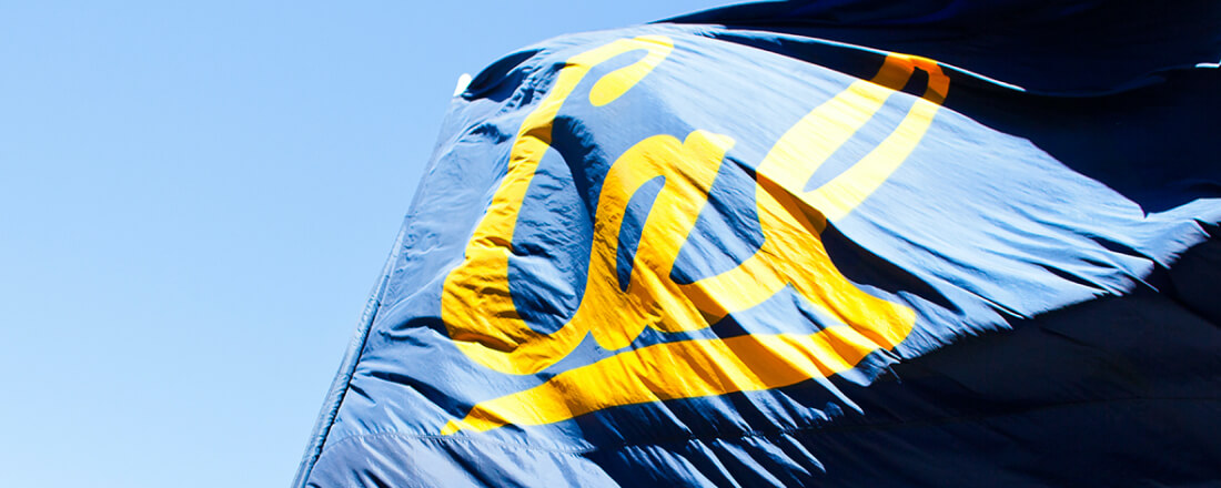 Cal flag in the wind