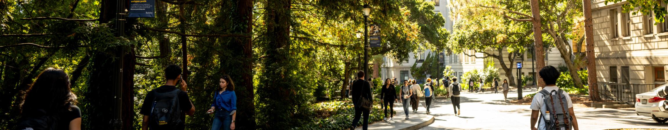 Students walking near forest on UC Berkeley campus